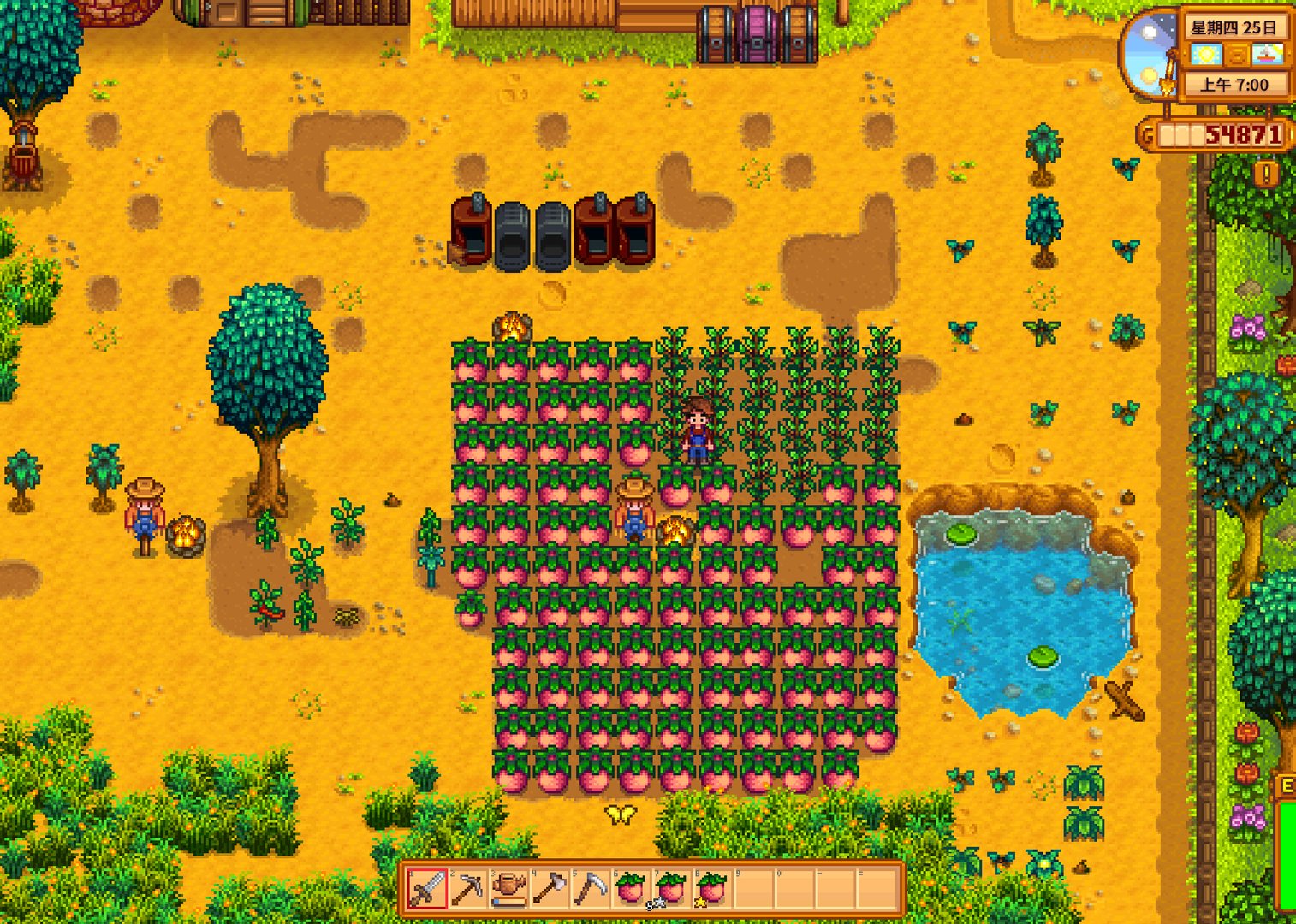 F1 2024 豪华版 截图13