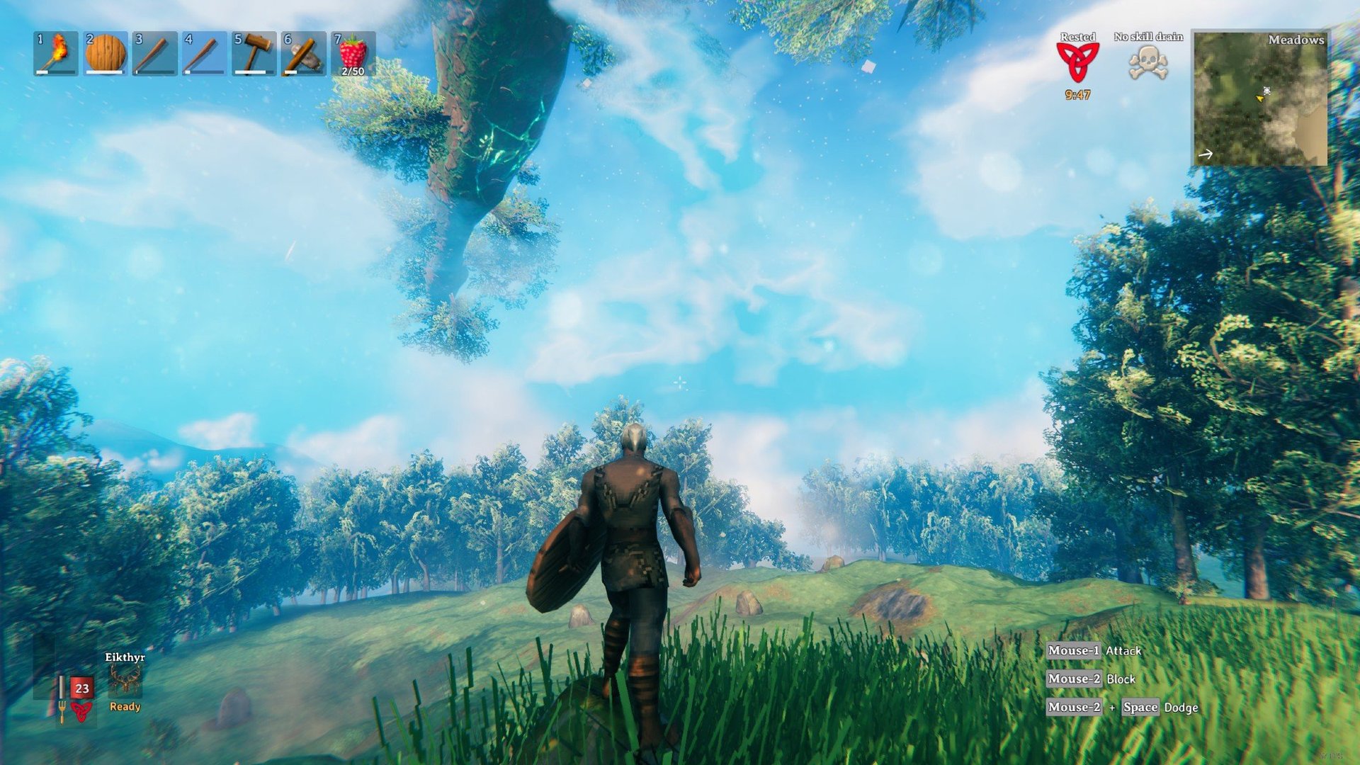 森林 年度版 截图11